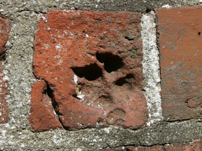 Hundepoten i kirkemuren
